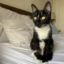 Thumbnail photo of Blueberry #1