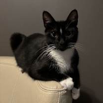 Thumbnail photo of Blueberry #2