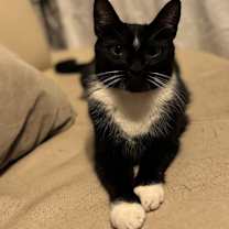 Thumbnail photo of Blueberry #4