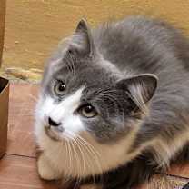 Thumbnail photo of Ariel #4