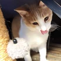 Thumbnail photo of Denver #1