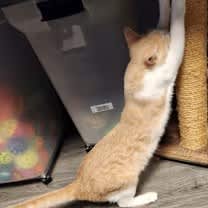 Thumbnail photo of Denver #3