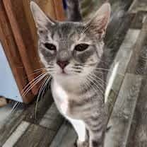 Thumbnail photo of Oceania #2