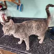 Thumbnail photo of Oceania #3