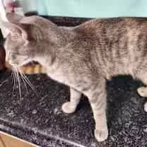 Thumbnail photo of Oceania #4