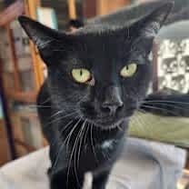 Thumbnail photo of Peak #1