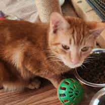 Thumbnail photo of Doc Holliday #3