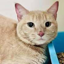 Thumbnail photo of Baby #1