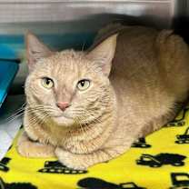 Thumbnail photo of Baby #2