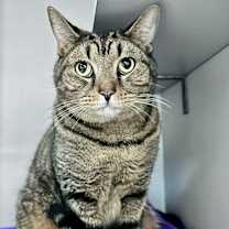 Thumbnail photo of Worm #2