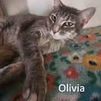 Thumbnail photo of Olivia #1