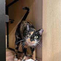 Thumbnail photo of Mimi #2