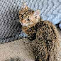 Thumbnail photo of Gusto25 #2