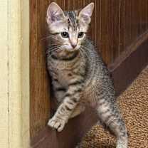 Thumbnail photo of Reggie25 #1