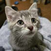 Thumbnail photo of Roscoe25 #4