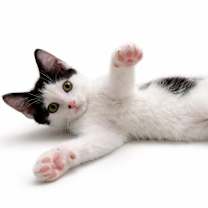 Thumbnail photo of Bart and Lisa #4