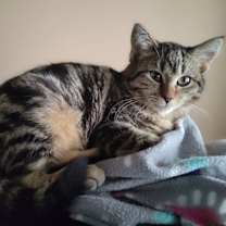 Thumbnail photo of Cami and Cece #1