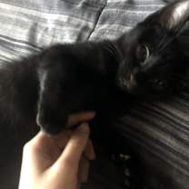 Thumbnail photo of Pete #1