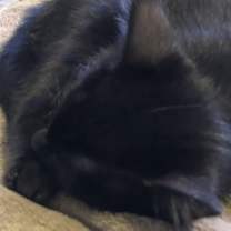 Thumbnail photo of Pete #3