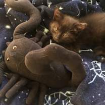 Thumbnail photo of Pete #4