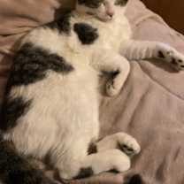 Thumbnail photo of ? #3