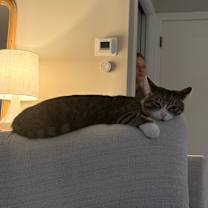 Thumbnail photo of Toby #4