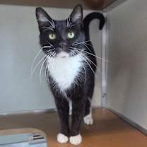 Thumbnail photo of Polly Pocket #1