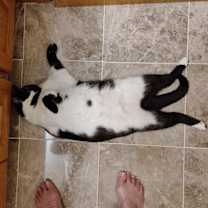 Thumbnail photo of Luna #3