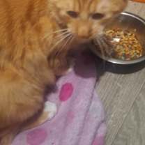 Thumbnail photo of Mar Mar #1