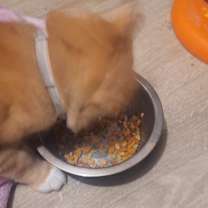 Thumbnail photo of Mar Mar #3