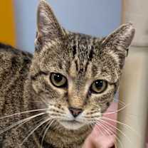 Thumbnail photo of P Squared #1