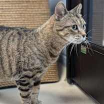 Thumbnail photo of P Squared #2