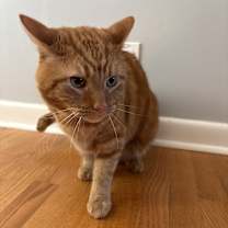 Thumbnail photo of Mr. Krinkle #3