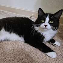 Thumbnail photo of Rudy #1