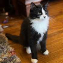 Thumbnail photo of Rudy #2