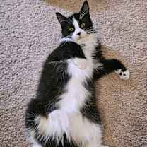 Thumbnail photo of Rudy #3