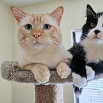 Thumbnail photo of Rudy #4