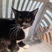 Thumbnail photo of Winifred #2