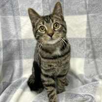 Thumbnail photo of Juno #1