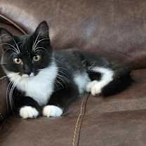 Thumbnail photo of Teddy Grant #1