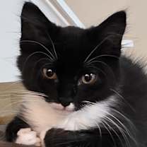 Thumbnail photo of Teddy Grant #2