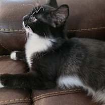 Thumbnail photo of Teddy Grant #3