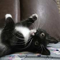 Thumbnail photo of Teddy Grant #4