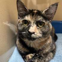 Thumbnail photo of April #2