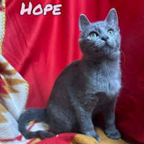 Thumbnail photo of Hope #2