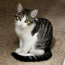 Thumbnail photo of Binks #2