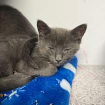 Thumbnail photo of Bev #2