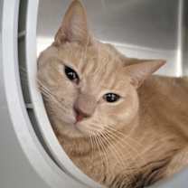 Thumbnail photo of Oasis 6 #1