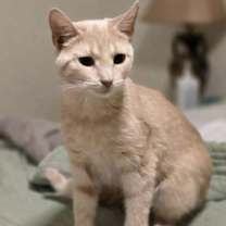 Thumbnail photo of Tumble AND Darla #1