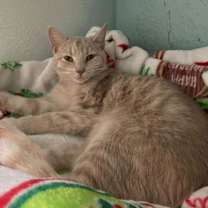 Thumbnail photo of Tumble AND Darla #2